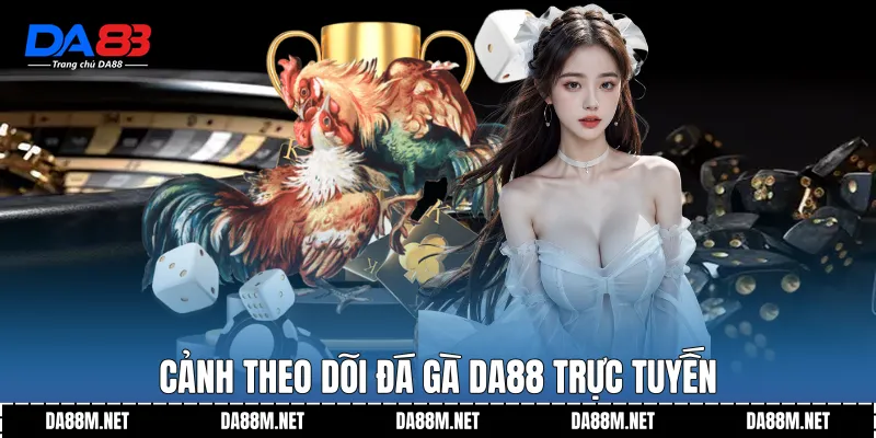 Cảnh theo dõi đá gà DA88 trực tuyến