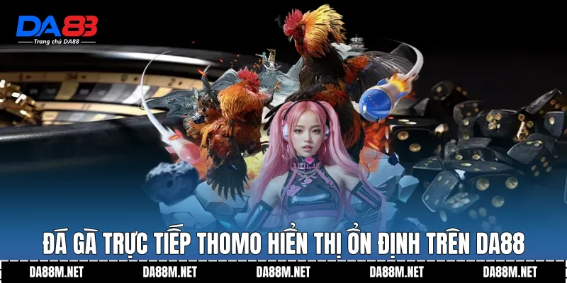 Đá gà trực tiếp thomo hiển thị ổn định trên DA88