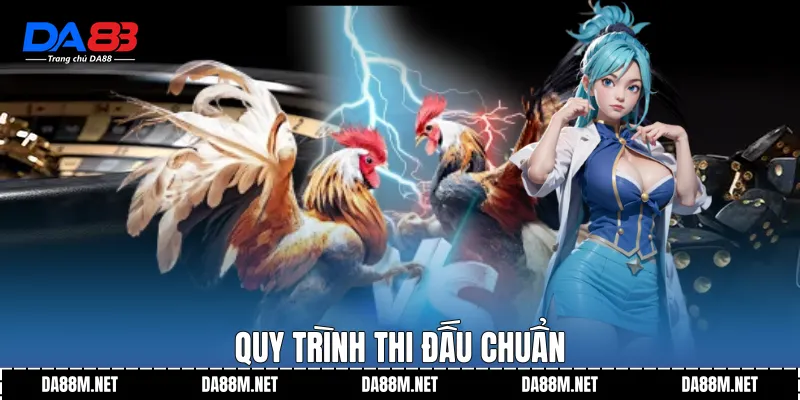 Quy trình thi đấu chuẩn